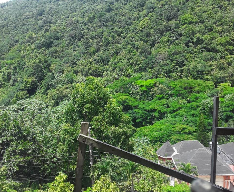 Fourteenth image of 66 Woodland Grove in Red Hills, St. Andrew, Jamaica - property is For Sale