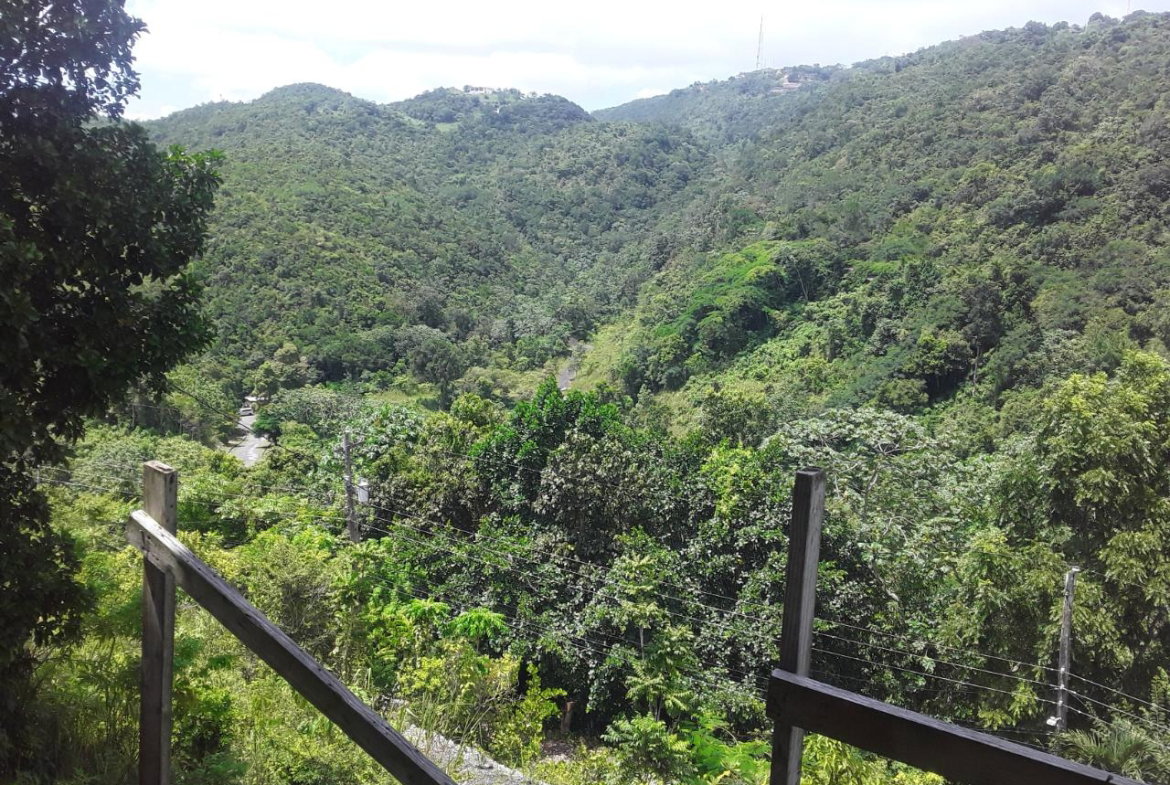 Fifteenth image of 66 Woodland Grove in Red Hills, St. Andrew, Jamaica - property is For Sale