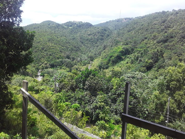 Fifteenth image of 66 Woodland Grove in Red Hills, St. Andrew, Jamaica - property is For Sale