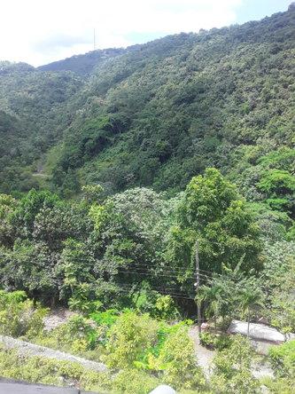 Eighth image of 66 Woodland Grove in Red Hills, St. Andrew, Jamaica - property is For Sale
