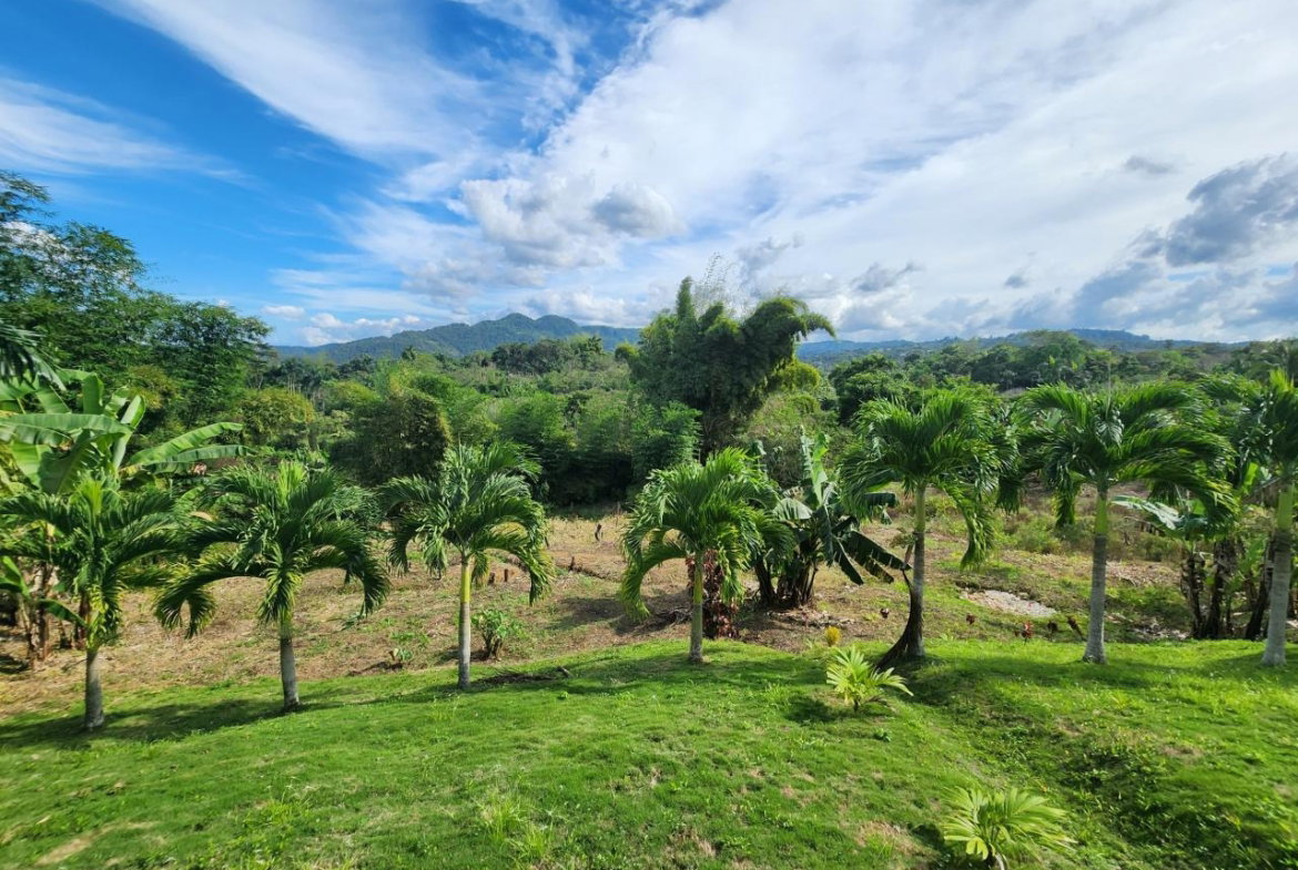 Sixteenth image of Albert Town in Albert Town, Trelawny, Jamaica - property is For Sale