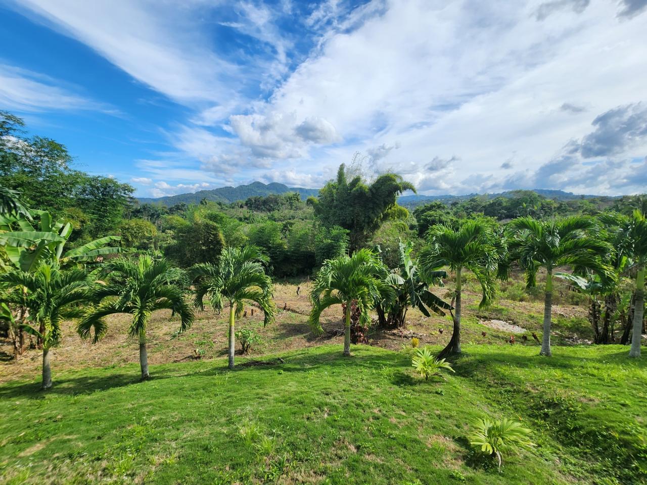 Sixteenth image of Albert Town in Albert Town, Trelawny, Jamaica - property is For Sale