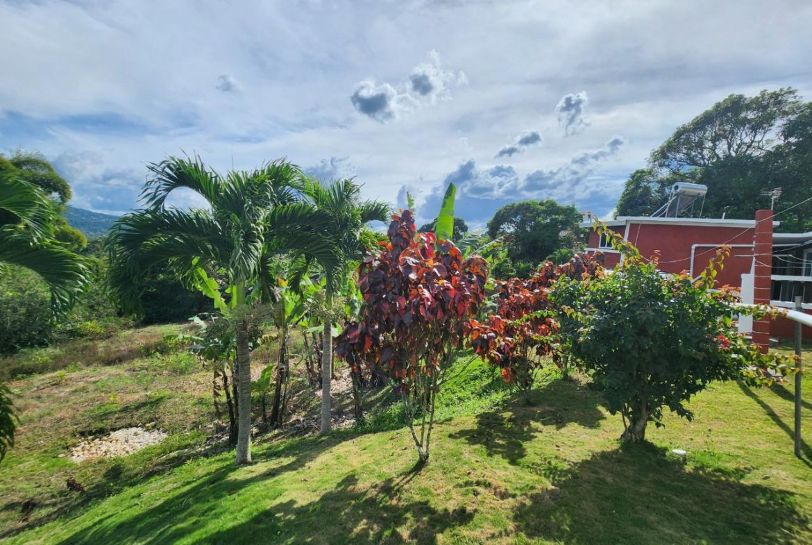 Seventeenth image of Albert Town in Albert Town, Trelawny, Jamaica - property is For Sale
