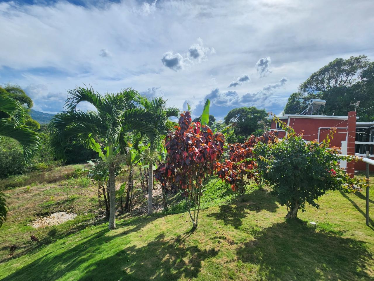 Seventeenth image of Albert Town in Albert Town, Trelawny, Jamaica - property is For Sale