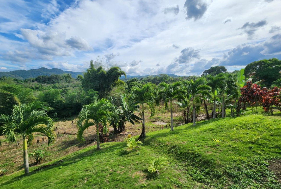 Eighteenth image of Albert Town in Albert Town, Trelawny, Jamaica - property is For Sale