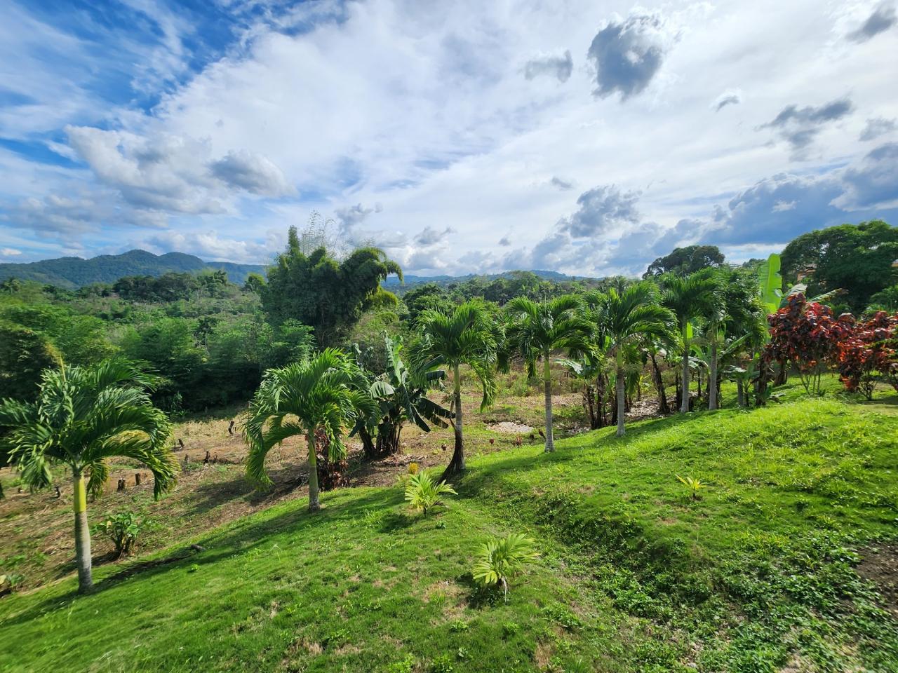 Eighteenth image of Albert Town in Albert Town, Trelawny, Jamaica - property is For Sale