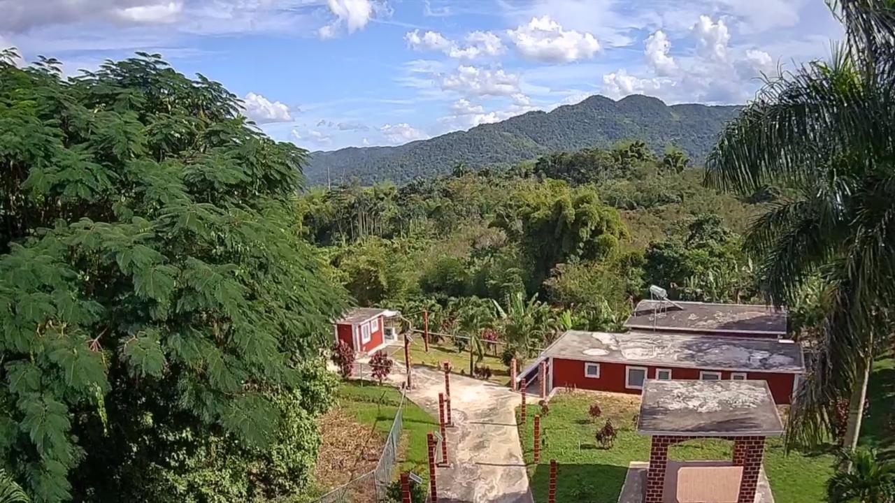 Nineteenth image of Albert Town in Albert Town, Trelawny, Jamaica - property is For Sale