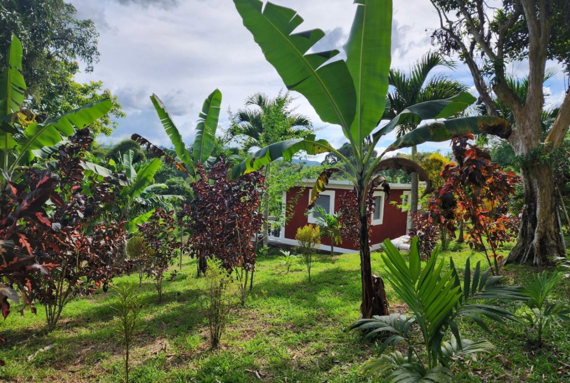 Twenty-Second image of Albert Town in Albert Town, Trelawny, Jamaica - property is For Sale