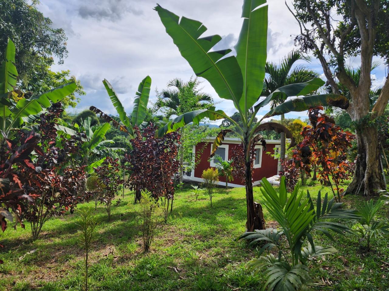 Twenty-Second image of Albert Town in Albert Town, Trelawny, Jamaica - property is For Sale