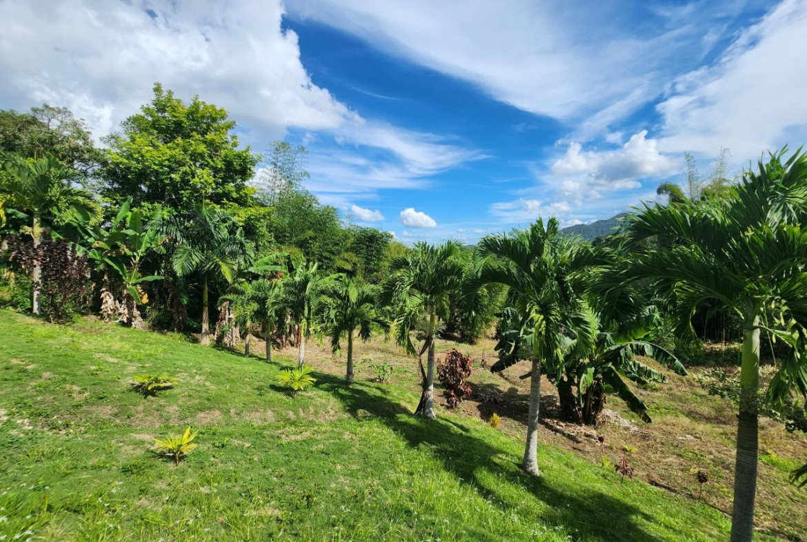 Twenty-Fourth image of Albert Town in Albert Town, Trelawny, Jamaica - property is For Sale