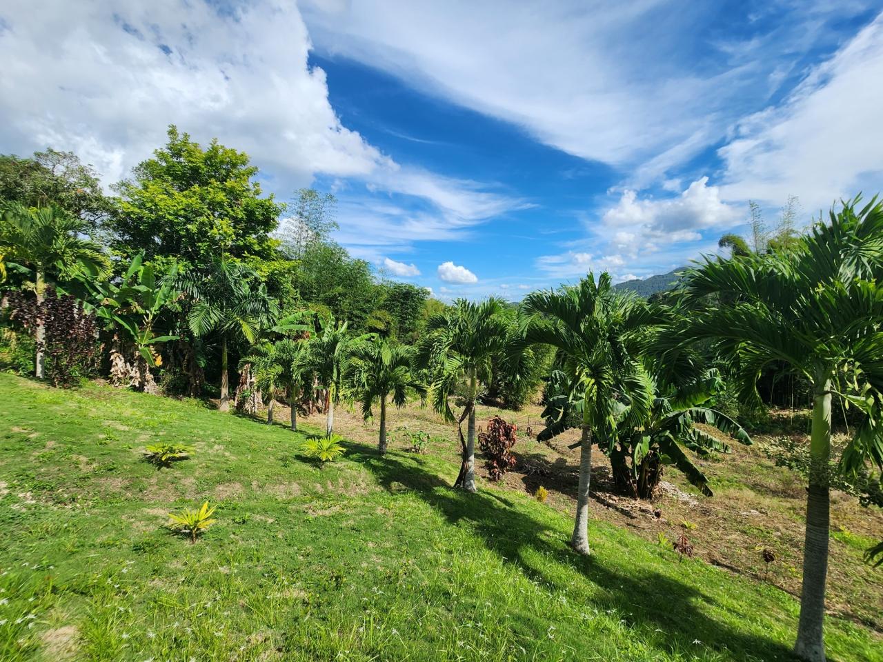 Twenty-Fourth image of Albert Town in Albert Town, Trelawny, Jamaica - property is For Sale