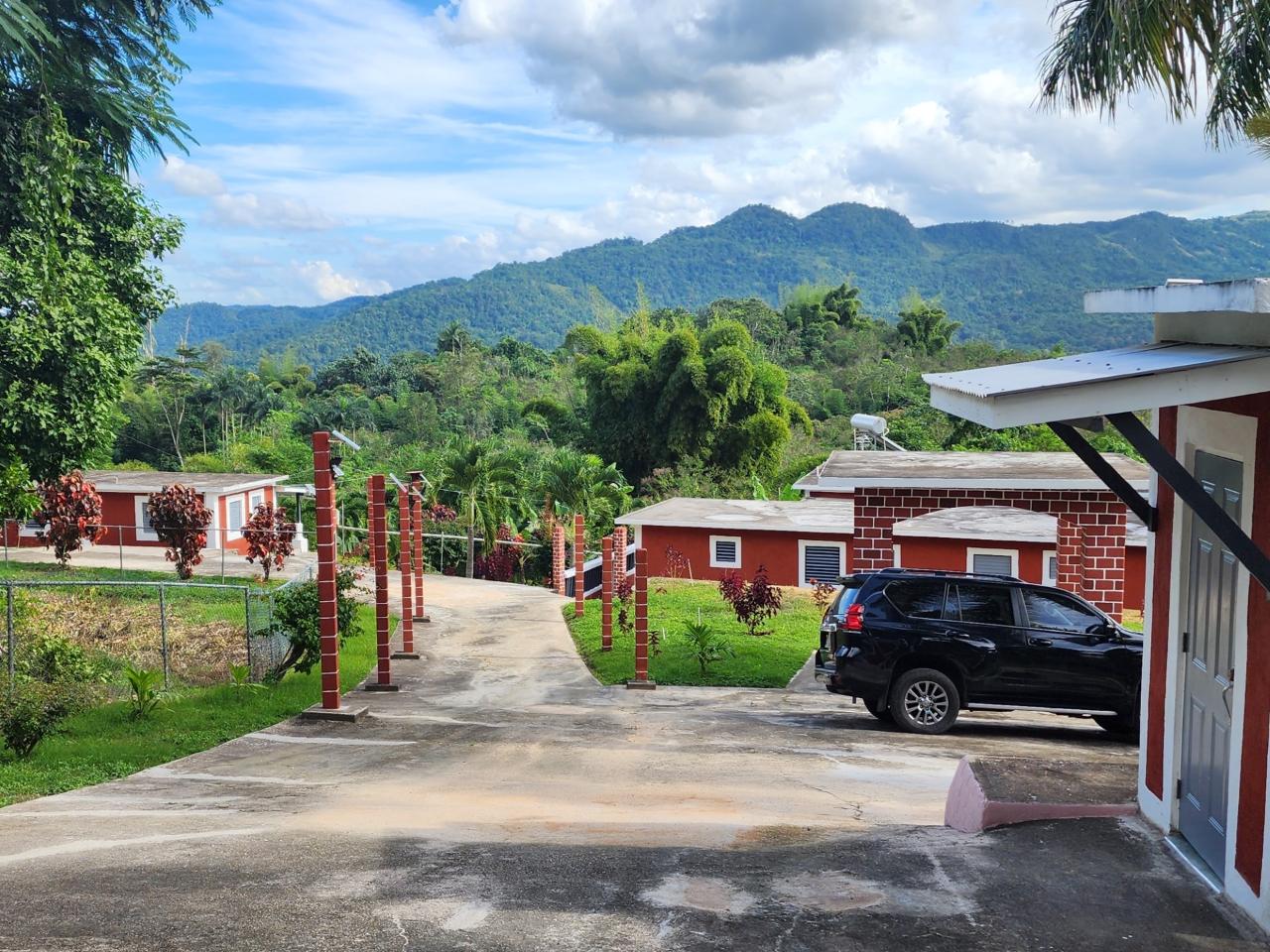 Twenty-Sixth image of Albert Town in Albert Town, Trelawny, Jamaica - property is For Sale