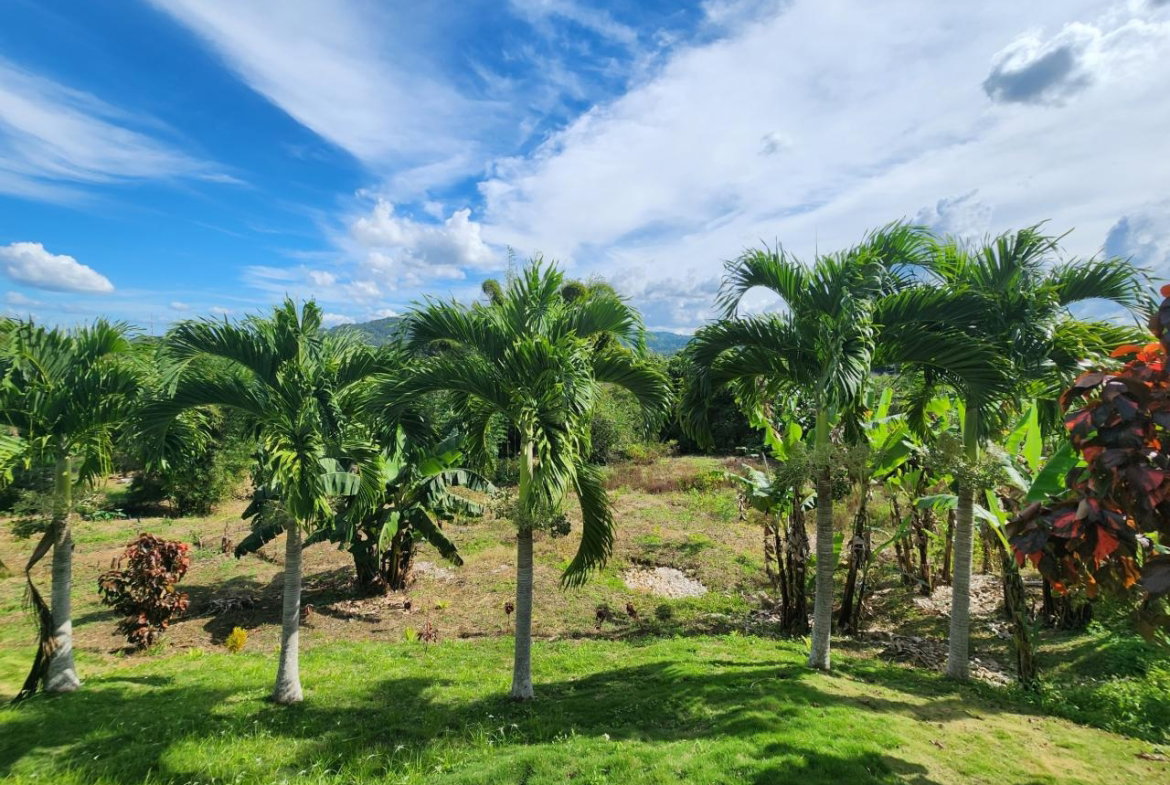 Twenty-Seventh image of Albert Town in Albert Town, Trelawny, Jamaica - property is For Sale