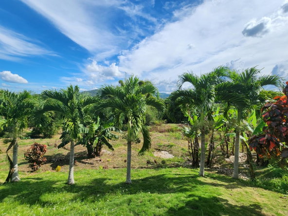 Twenty-Seventh image of Albert Town in Albert Town, Trelawny, Jamaica - property is For Sale