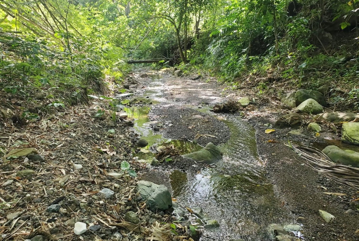 Second image of 94 Spring Pen in Seaforth, St. Thomas, Jamaica - property is For Sale