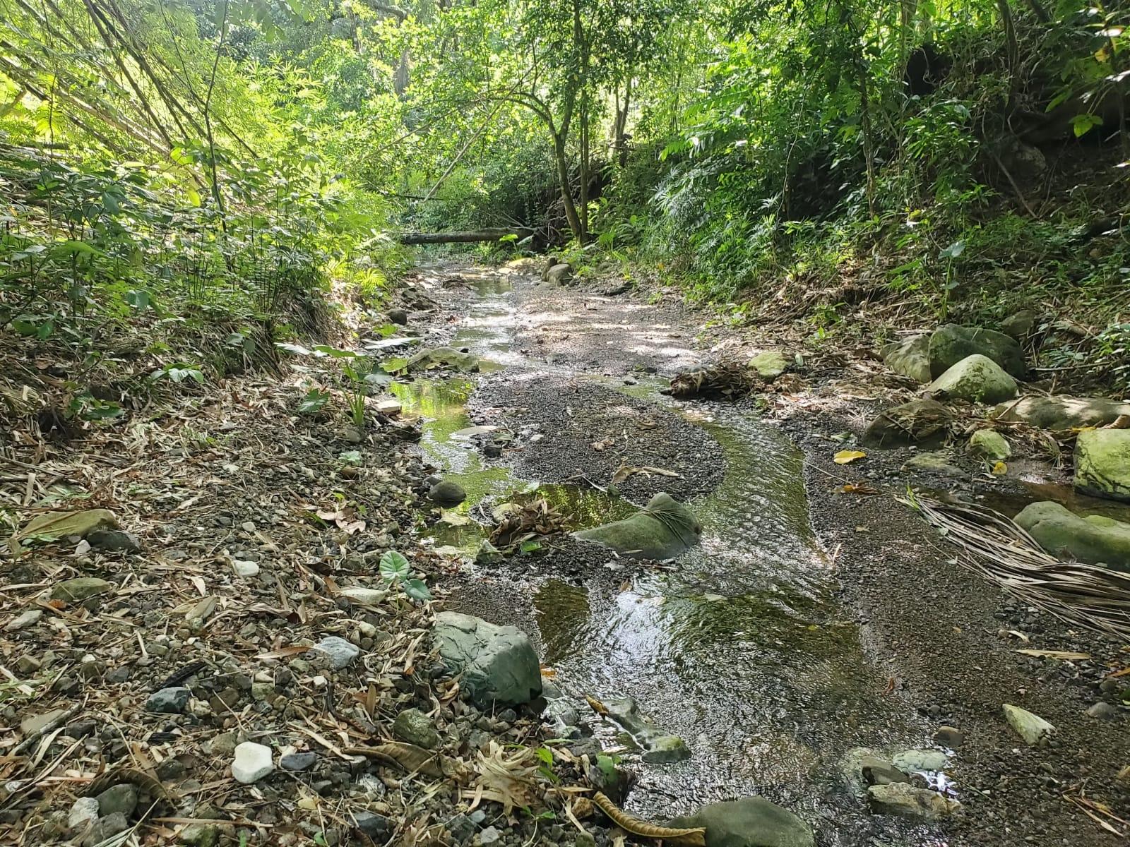 Stunning-6.5-Acre-Residential-Lot-for-Sale-in-St.-Thomas-Jamaica Second image of 94 Spring Pen in Seaforth, St. Thomas, Jamaica - property is For Sale