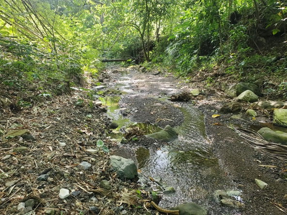 Second image of 94 Spring Pen in Seaforth, St. Thomas, Jamaica - property is For Sale