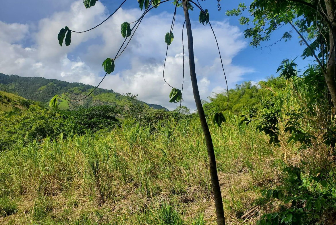 Twelfth image of 94 Spring Pen in Seaforth, St. Thomas, Jamaica - property is For Sale