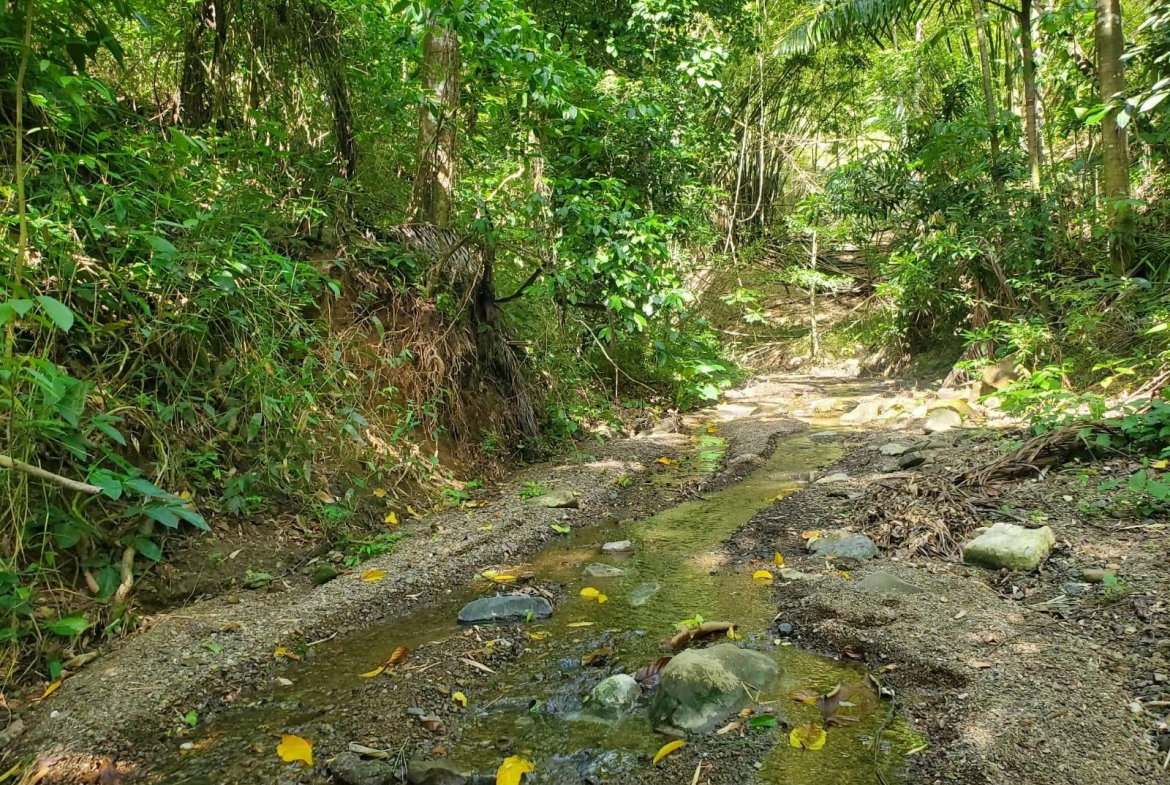 First image of 94 Spring Pen in Seaforth, St. Thomas, Jamaica - property is For Sale