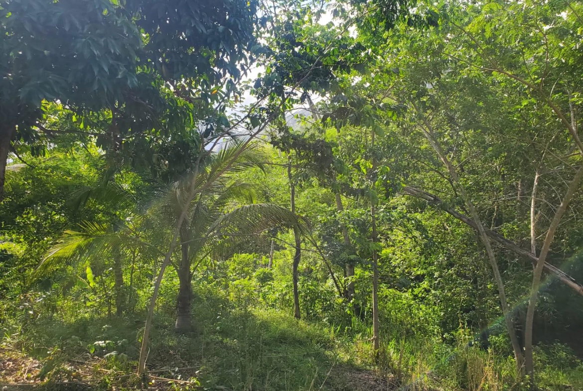 Sixteenth image of 94 Spring Pen in Seaforth, St. Thomas, Jamaica - property is For Sale