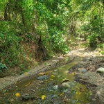 First image of 94 Spring Pen in Seaforth, St. Thomas, Jamaica - property is For Sale