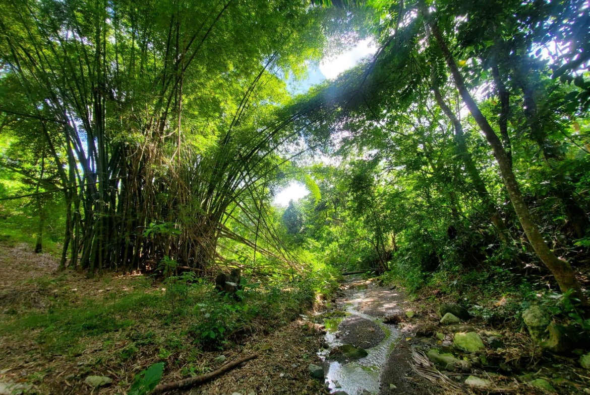 Third image of 94 Spring Pen in Seaforth, St. Thomas, Jamaica - property is For Sale