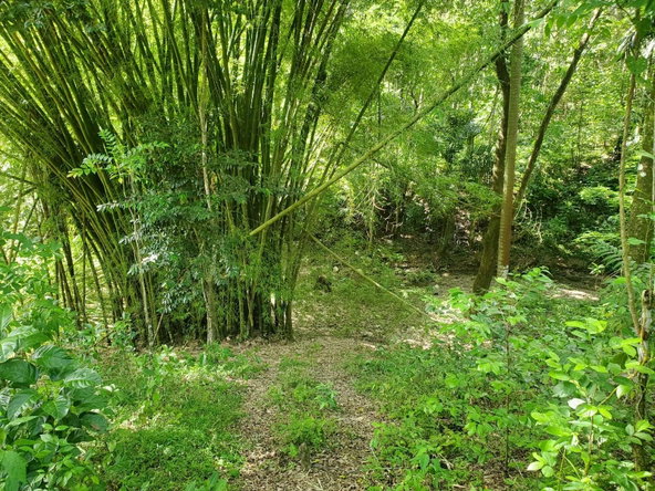 Twenty-First image of 94 Spring Pen in Seaforth, St. Thomas, Jamaica - property is For Sale
