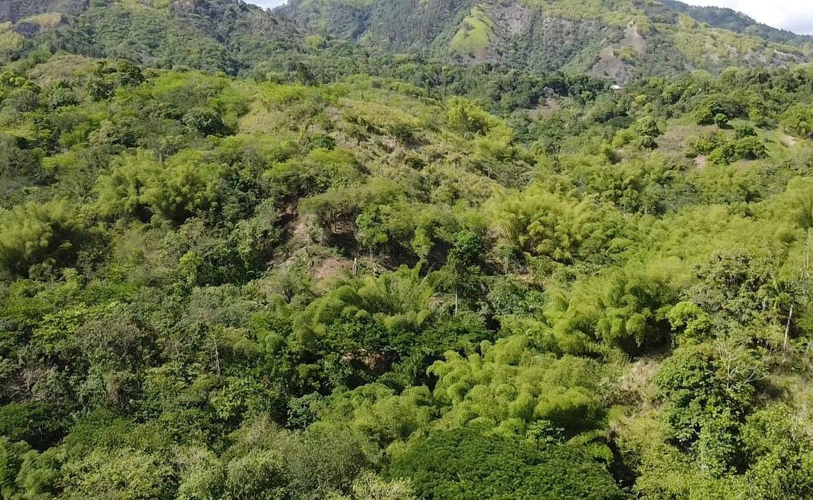 Twenty-Second image of 94 Spring Pen in Seaforth, St. Thomas, Jamaica - property is For Sale