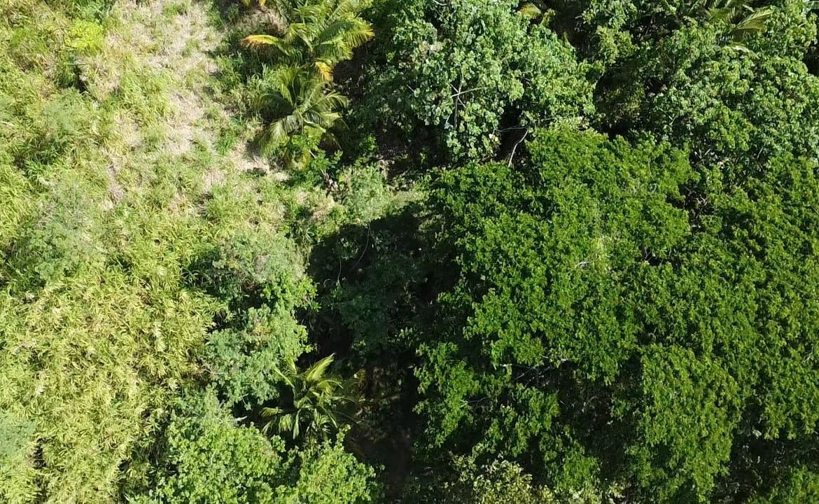 Twenty-Third image of 94 Spring Pen in Seaforth, St. Thomas, Jamaica - property is For Sale