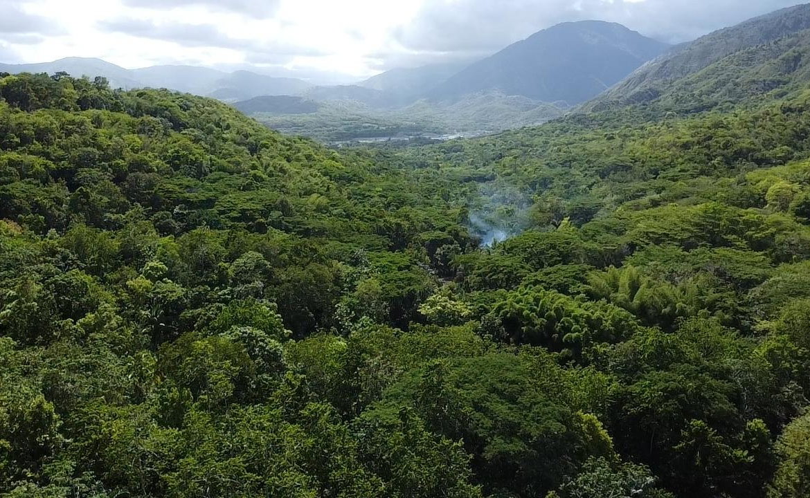 Twenty-Fourth image of 94 Spring Pen in Seaforth, St. Thomas, Jamaica - property is For Sale