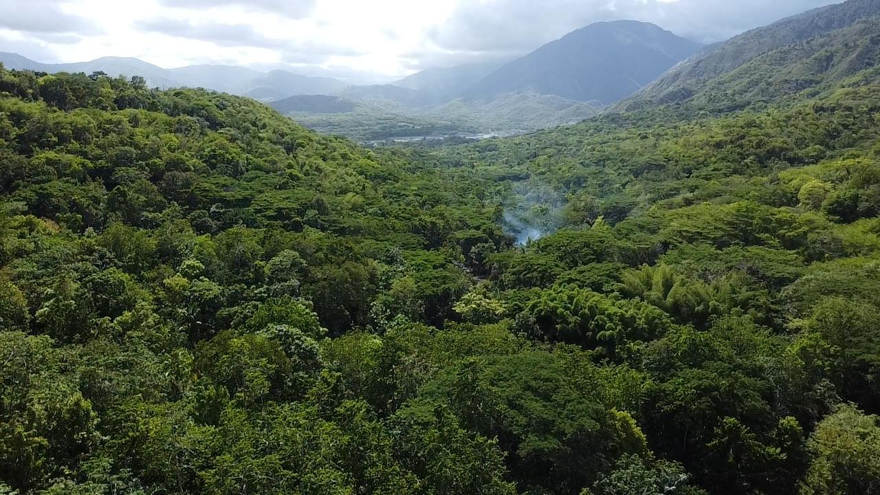 Stunning-6.5-Acre-Residential-Lot-for-Sale-in-St.-Thomas-Jamaica Twenty-Fourth image of 94 Spring Pen in Seaforth, St. Thomas, Jamaica - property is For Sale