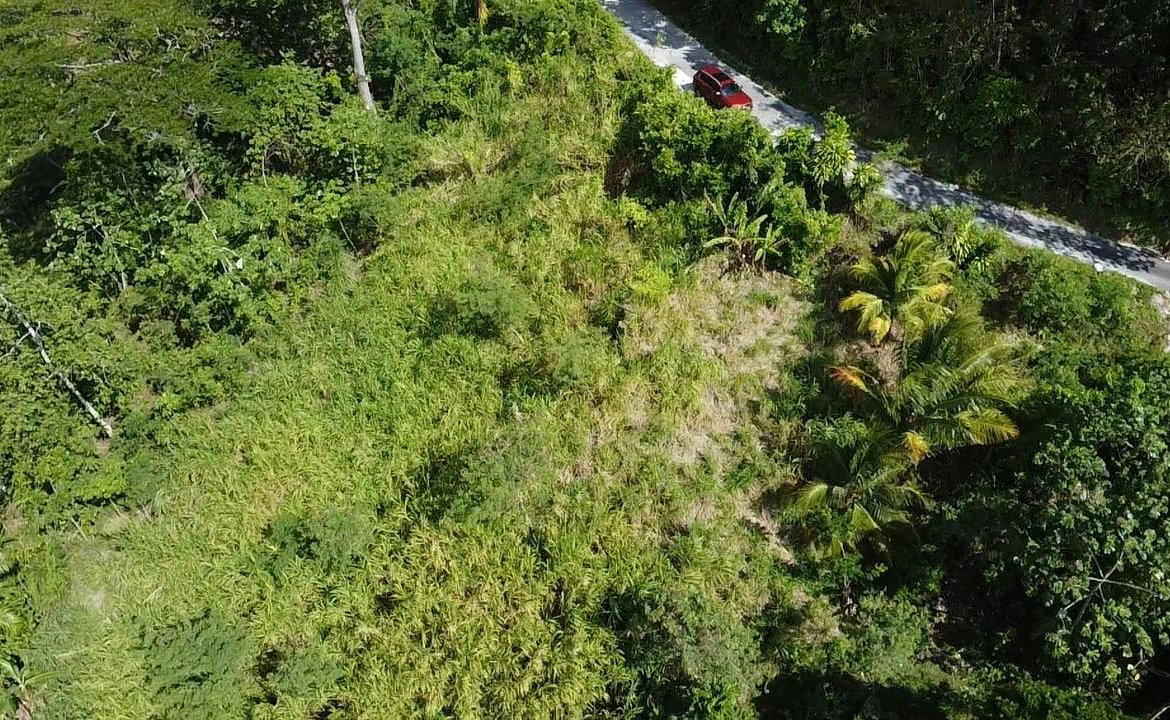 Twenty-Seventh image of 94 Spring Pen in Seaforth, St. Thomas, Jamaica - property is For Sale