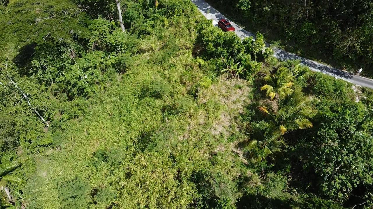 Stunning-6.5-Acre-Residential-Lot-for-Sale-in-St.-Thomas-Jamaica Twenty-Seventh image of 94 Spring Pen in Seaforth, St. Thomas, Jamaica - property is For Sale