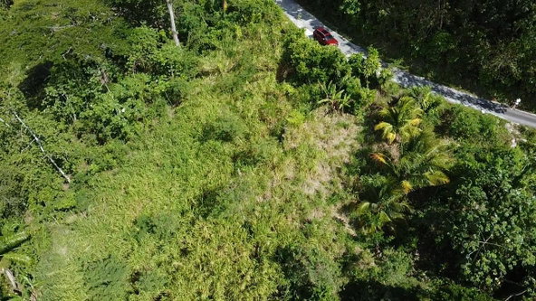 Twenty-Seventh image of 94 Spring Pen in Seaforth, St. Thomas, Jamaica - property is For Sale