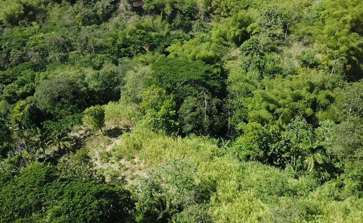 Twenty-Eighth image of 94 Spring Pen in Seaforth, St. Thomas, Jamaica - property is For Sale