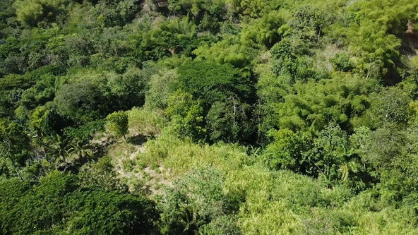 Twenty-Eighth image of 94 Spring Pen in Seaforth, St. Thomas, Jamaica - property is For Sale