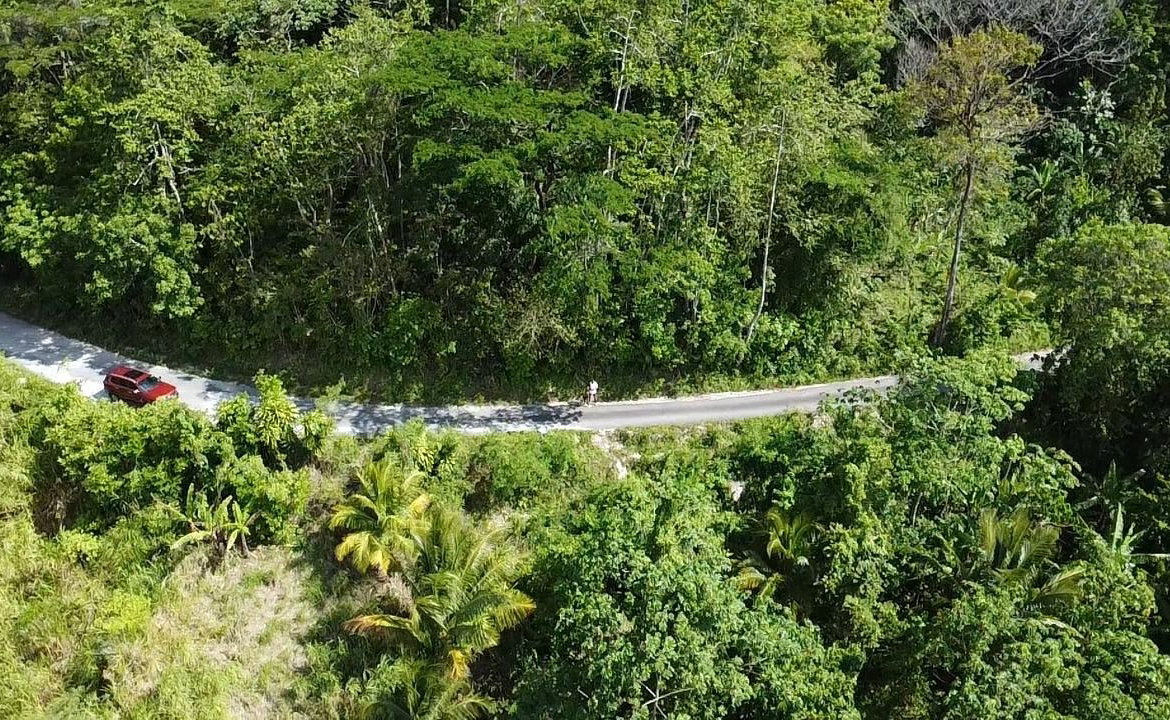 Twenty-Ninth image of 94 Spring Pen in Seaforth, St. Thomas, Jamaica - property is For Sale