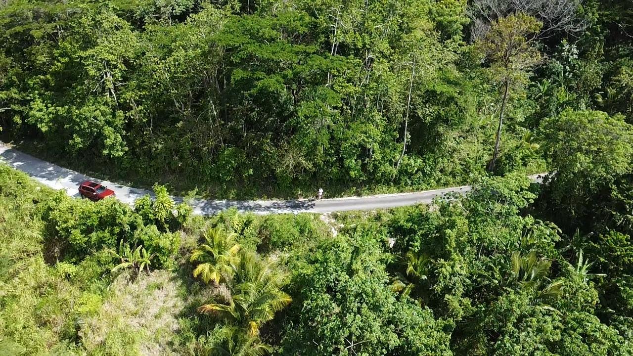 Stunning-6.5-Acre-Residential-Lot-for-Sale-in-St.-Thomas-Jamaica Twenty-Ninth image of 94 Spring Pen in Seaforth, St. Thomas, Jamaica - property is For Sale