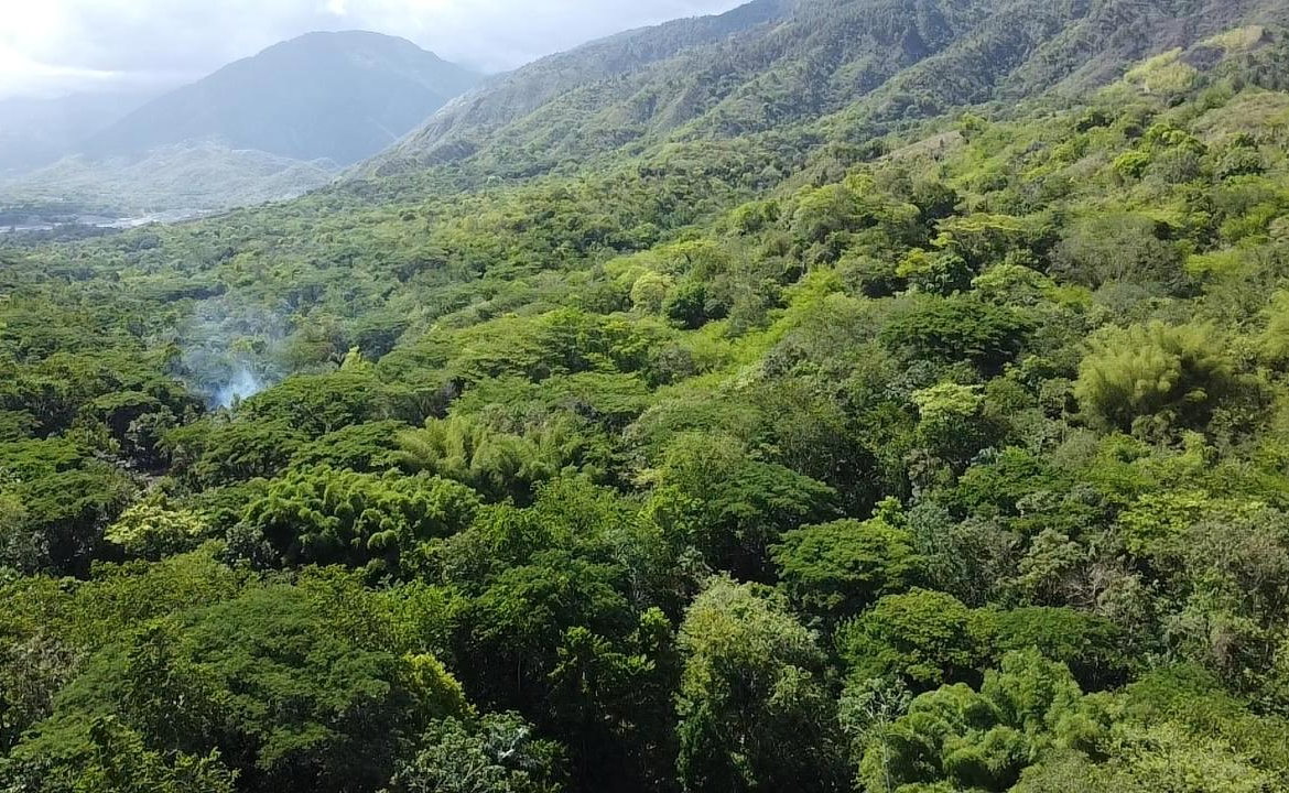 Thirtieth image of 94 Spring Pen in Seaforth, St. Thomas, Jamaica - property is For Sale