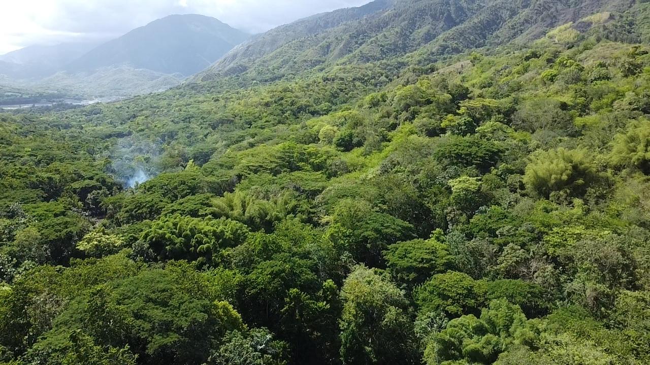 Stunning-6.5-Acre-Residential-Lot-for-Sale-in-St.-Thomas-Jamaica Thirtieth image of 94 Spring Pen in Seaforth, St. Thomas, Jamaica - property is For Sale