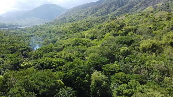 Thirtieth image of 94 Spring Pen in Seaforth, St. Thomas, Jamaica - property is For Sale