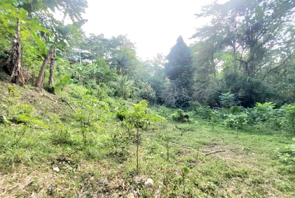 Fourth image of 94 Spring Pen in Seaforth, St. Thomas, Jamaica - property is For Sale