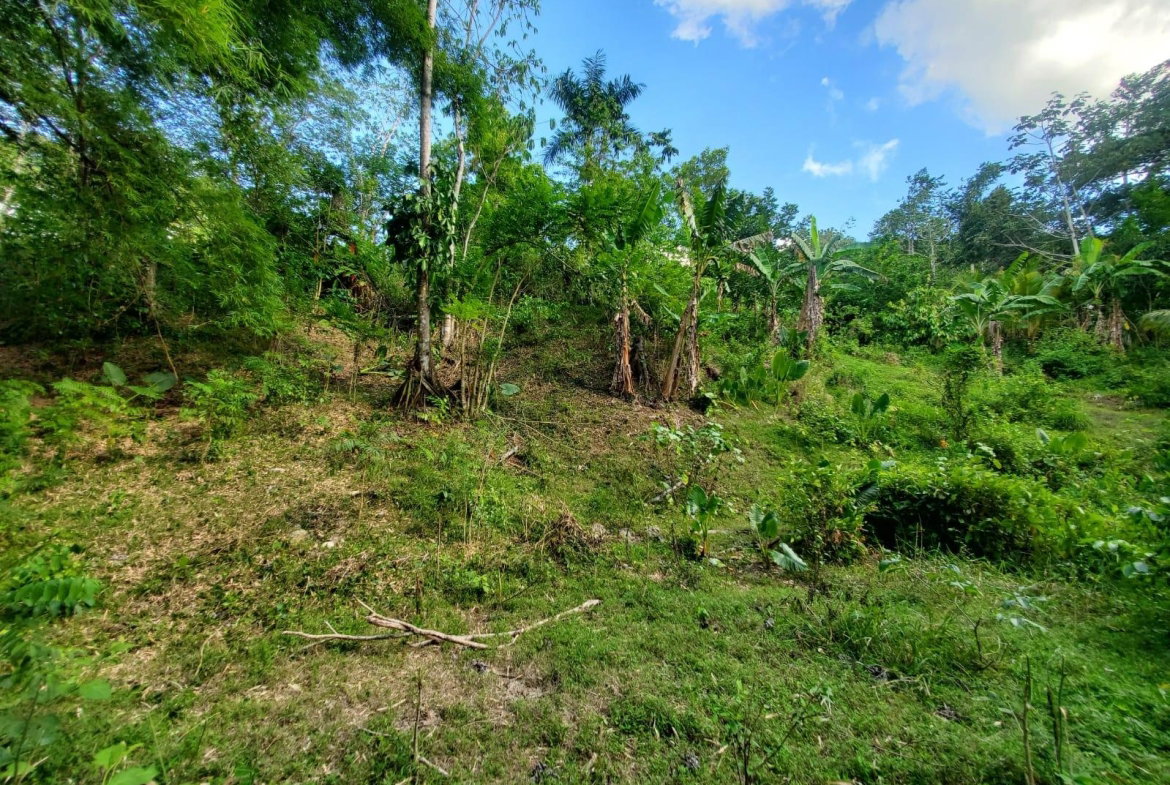 Fifth image of 94 Spring Pen in Seaforth, St. Thomas, Jamaica - property is For Sale