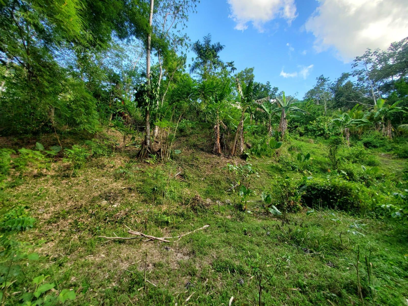 Stunning-6.5-Acre-Residential-Lot-for-Sale-in-St.-Thomas-Jamaica Fifth image of 94 Spring Pen in Seaforth, St. Thomas, Jamaica - property is For Sale