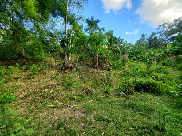 Fifth image of 94 Spring Pen in Seaforth, St. Thomas, Jamaica - property is For Sale