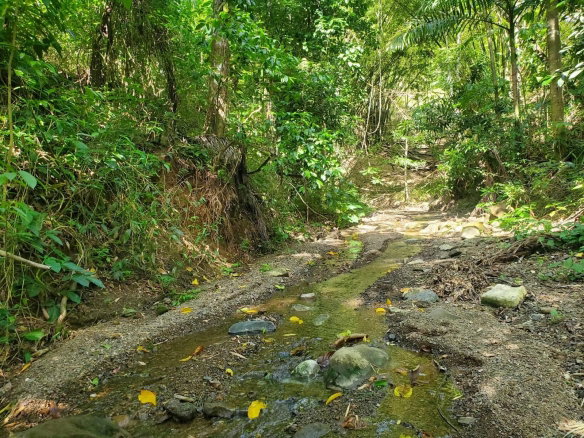 First image of 94 Spring Pen in Seaforth, St. Thomas, Jamaica - property is For Sale