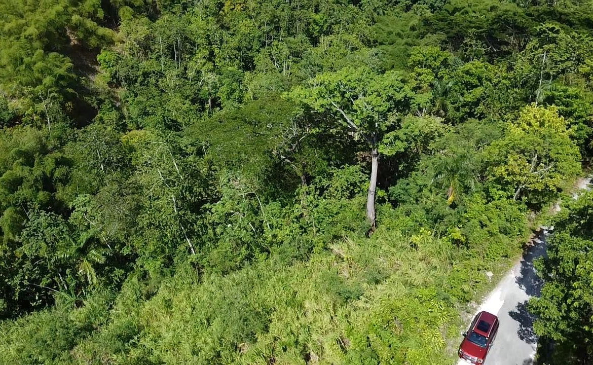 Seventh image of 94 Spring Pen in Seaforth, St. Thomas, Jamaica - property is For Sale