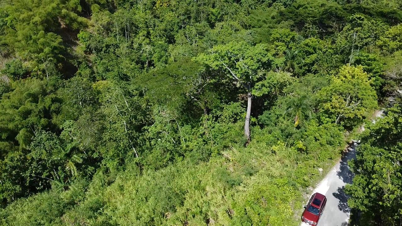 Stunning-6.5-Acre-Residential-Lot-for-Sale-in-St.-Thomas-Jamaica Seventh image of 94 Spring Pen in Seaforth, St. Thomas, Jamaica - property is For Sale