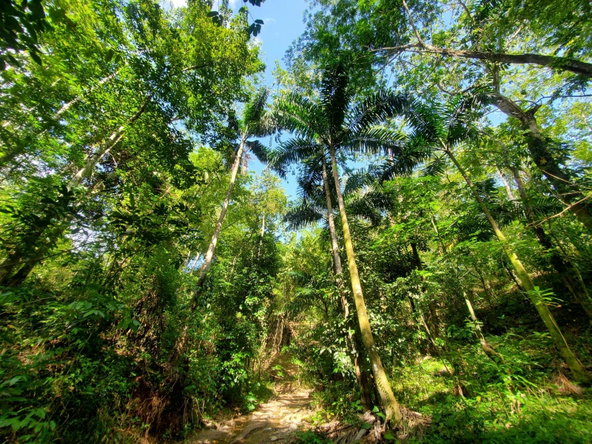 Eighth image of 94 Spring Pen in Seaforth, St. Thomas, Jamaica - property is For Sale