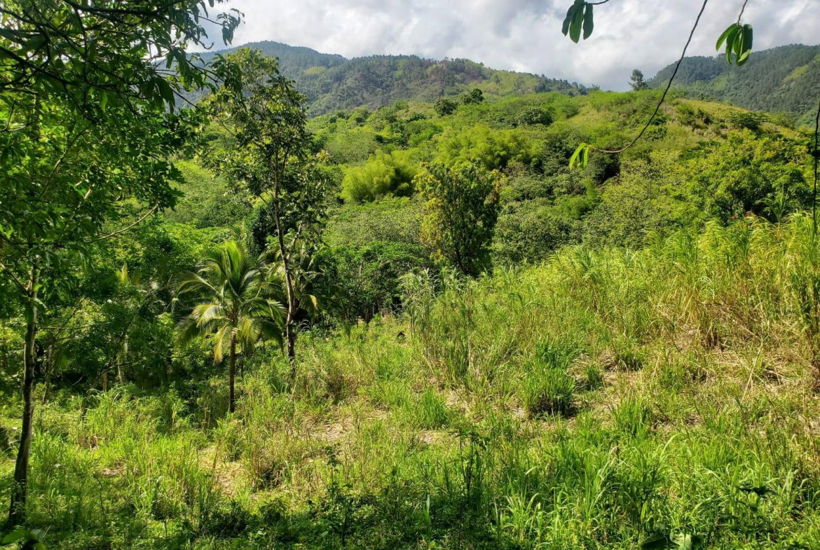 Ninth image of 94 Spring Pen in Seaforth, St. Thomas, Jamaica - property is For Sale